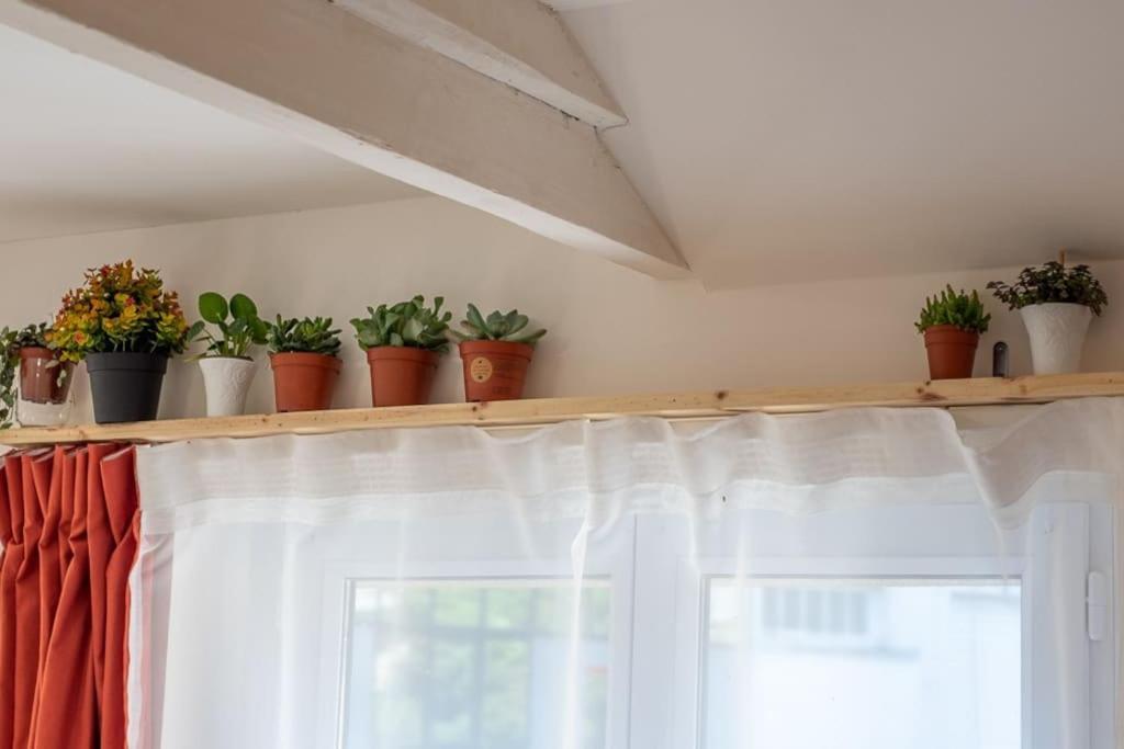 Appartement Le Cocoon - Dans Maison Du Xviieme Siecle